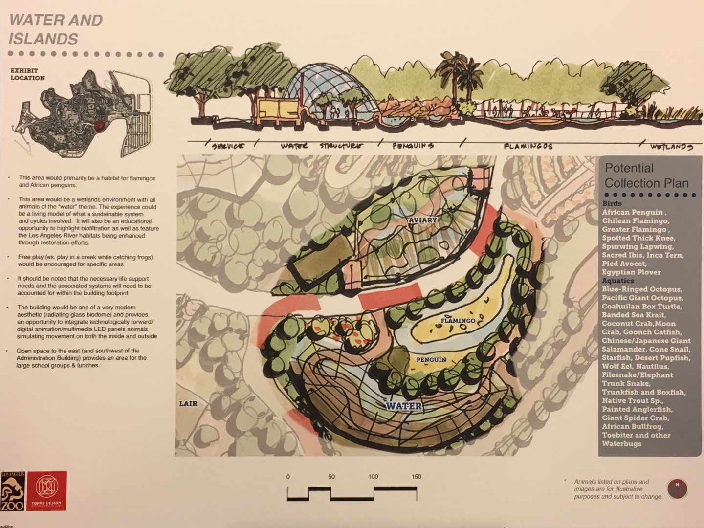 Master Plan: Aquatics