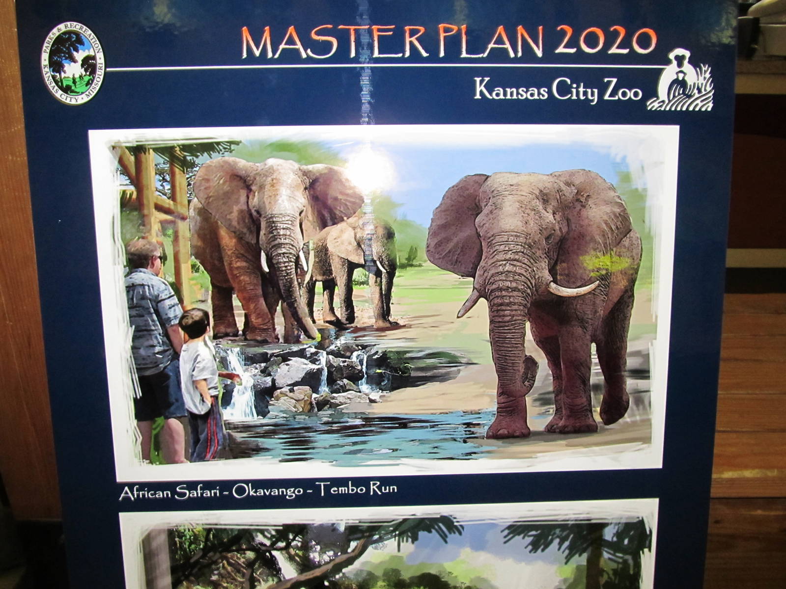 Master Plan-Elephants