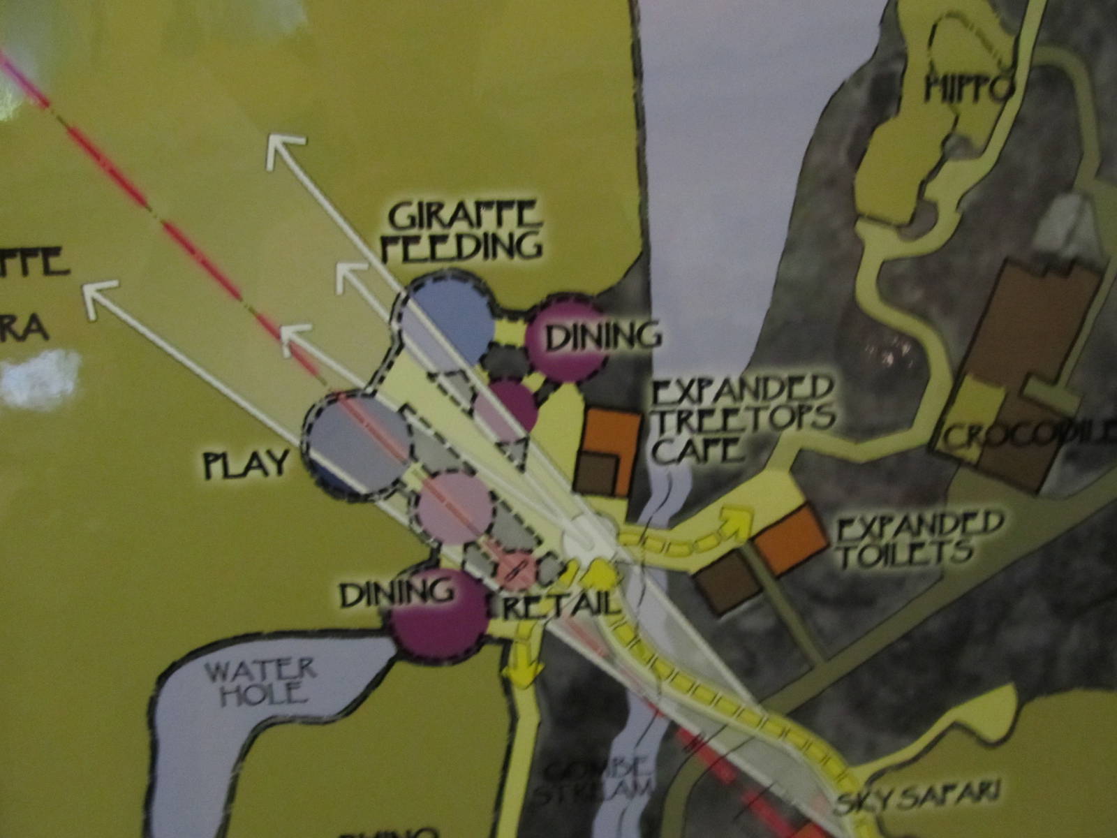Master Plan-Giraffe Area