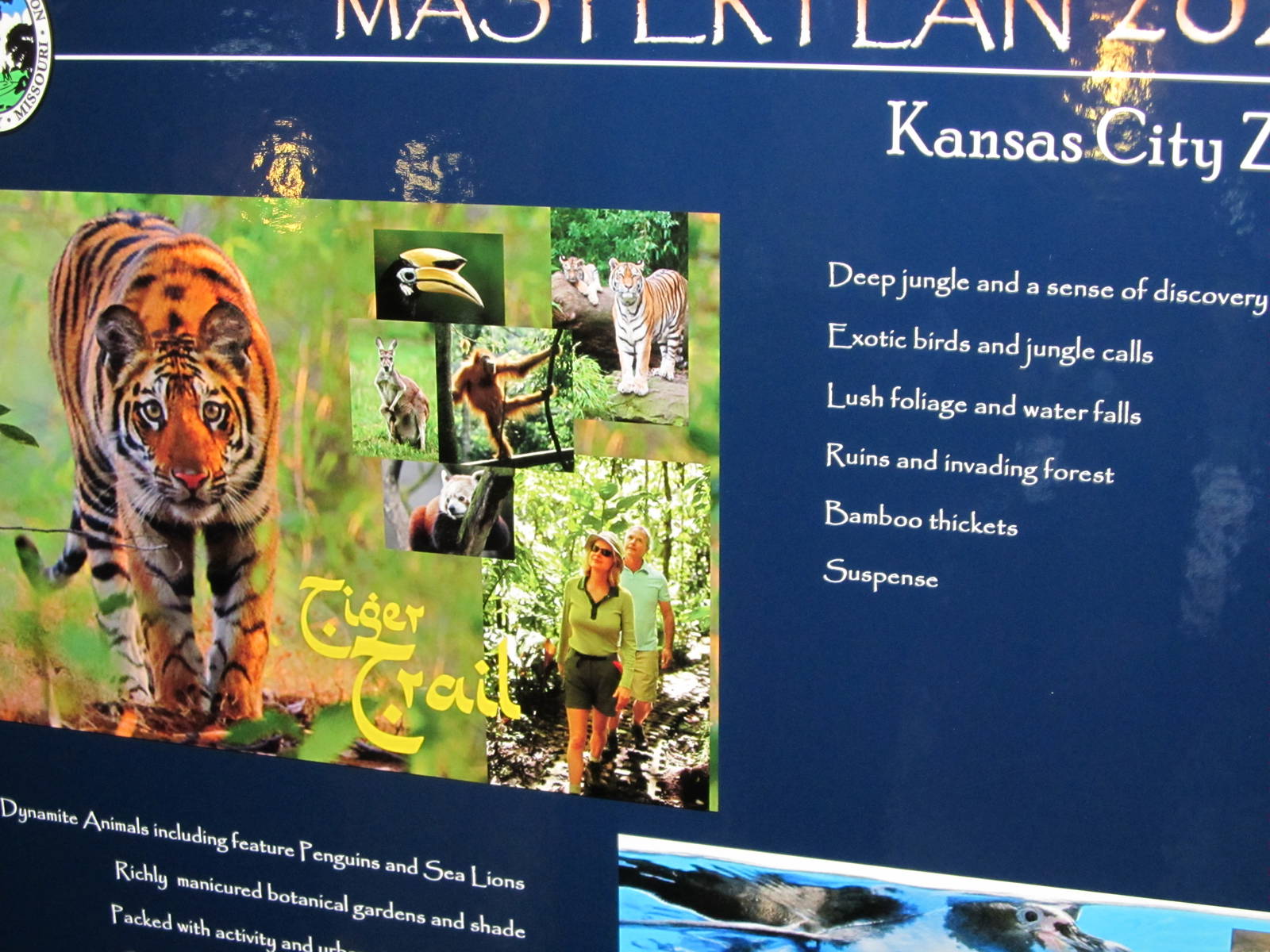 Master Plan-Info Board