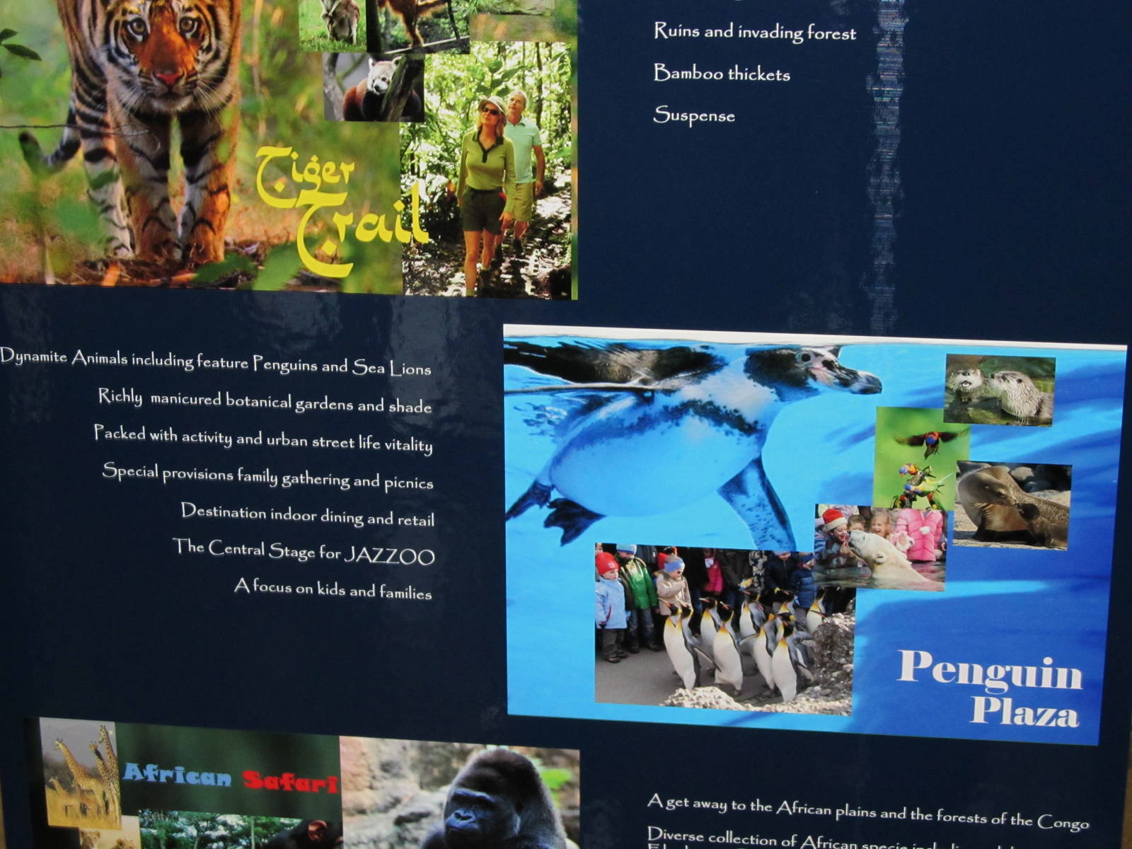 Master Plan-Info Board