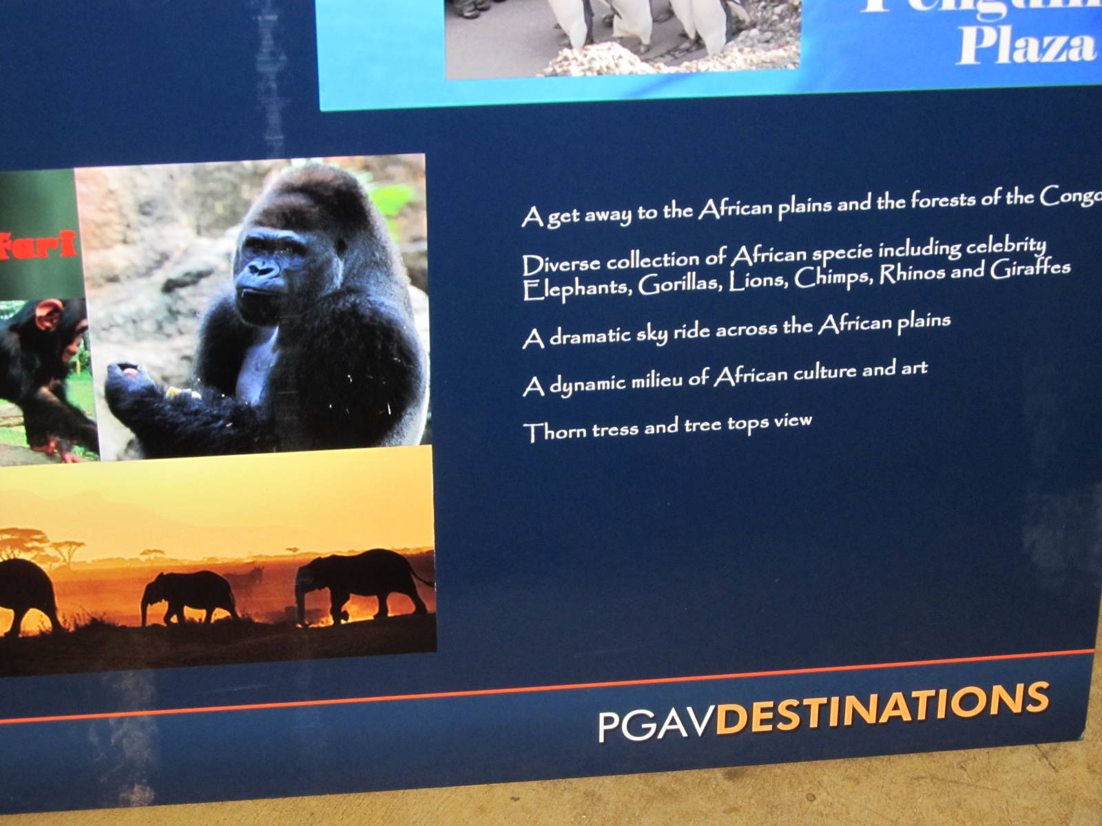 Master Plan-Info Board