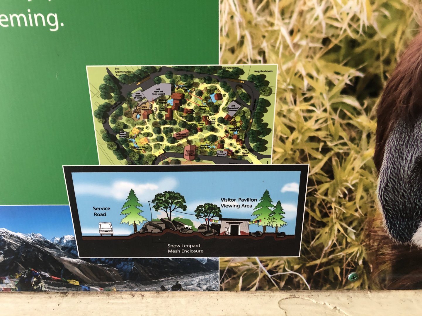 Master Plan Information