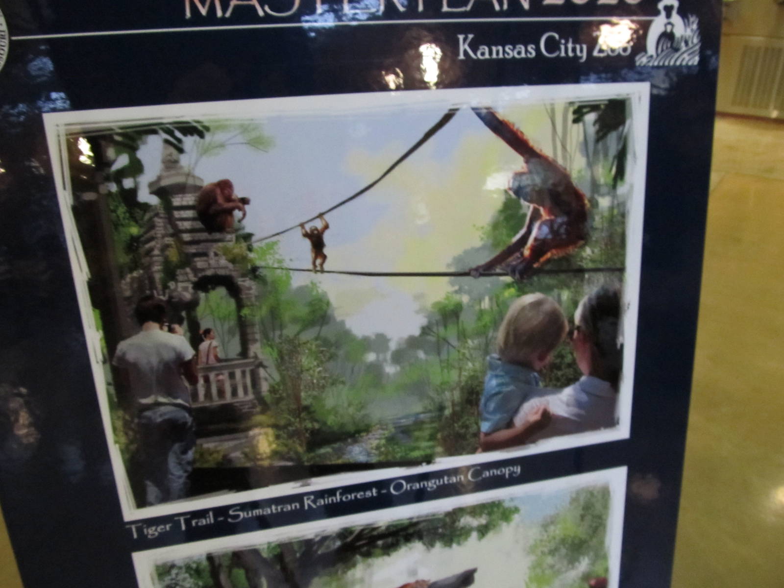 Master Plan-Orangutans