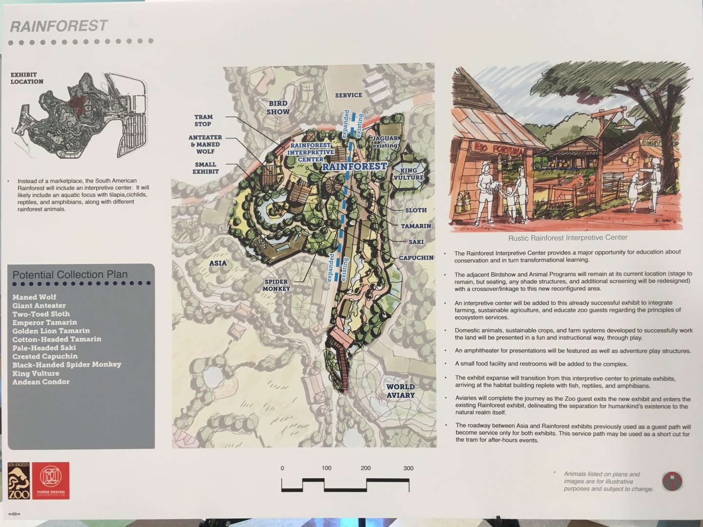 Master Plan: Rainforest