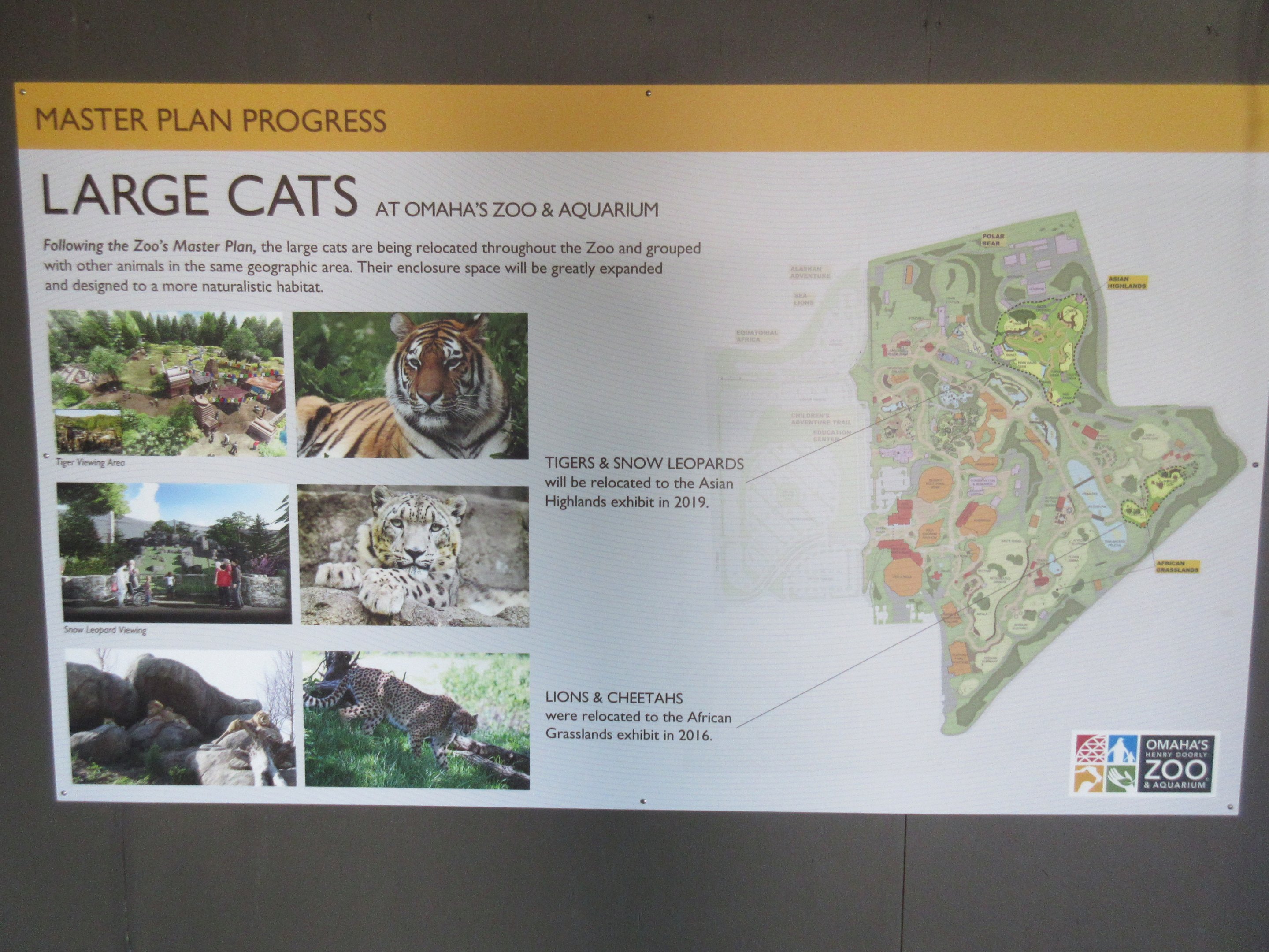 Master Plan Update: Big Cats