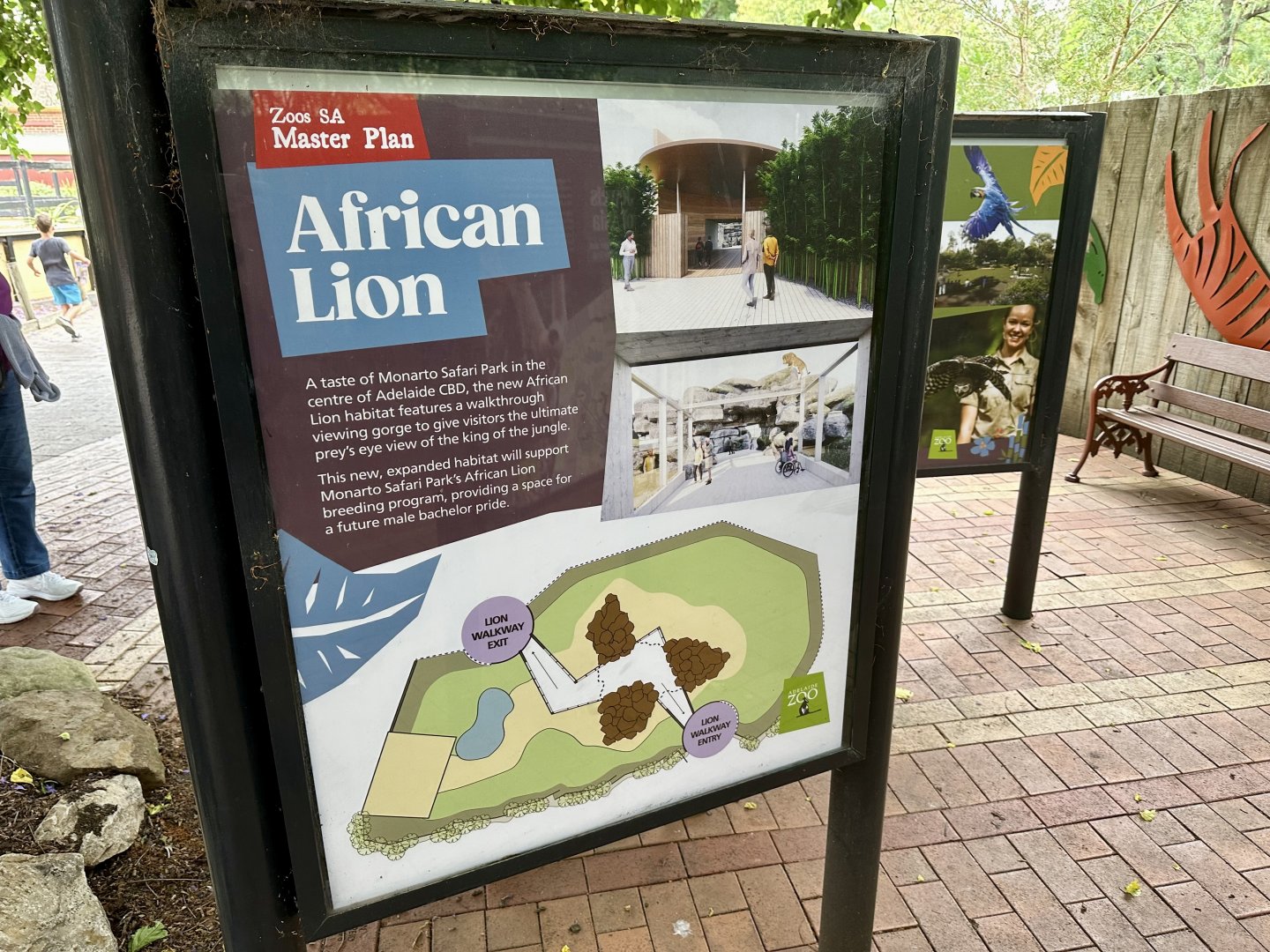 Masterplan - African Lion Exhibit