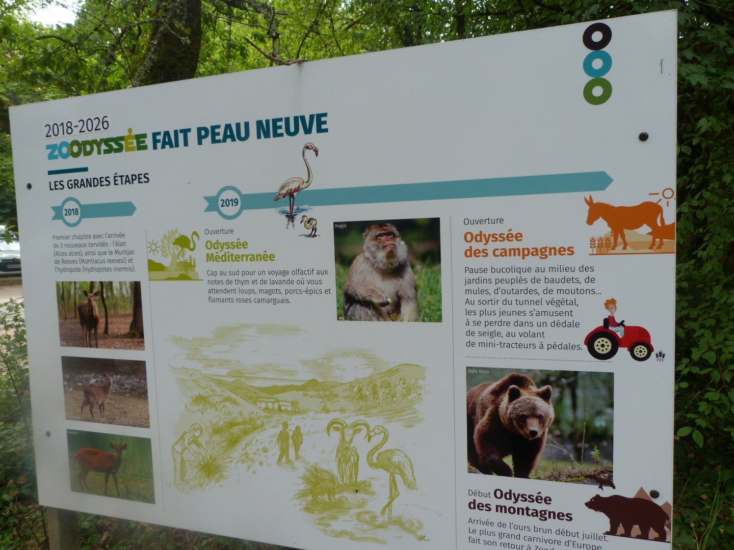 Masterplan explaination signae -Zoodyssée (2025)