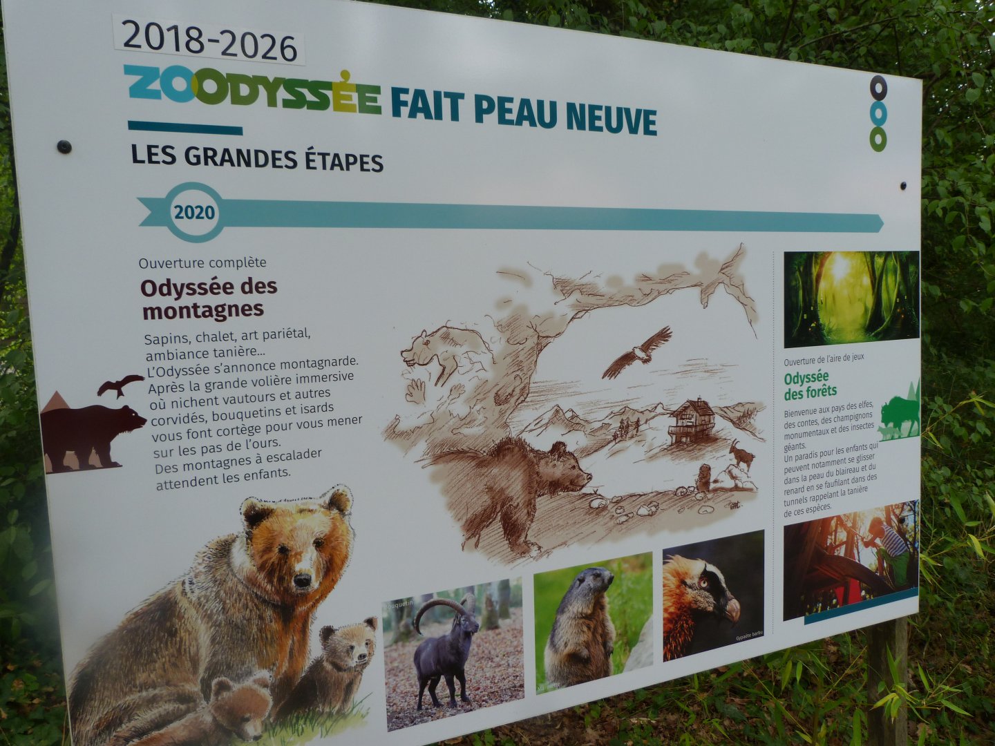 Masterplan explaination signae -Zoodyssée (2025)