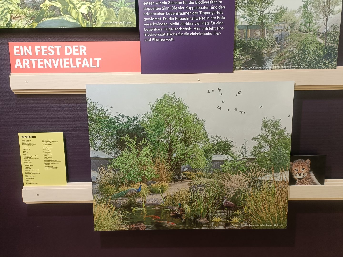 Masterplan - Wall of photos and informations