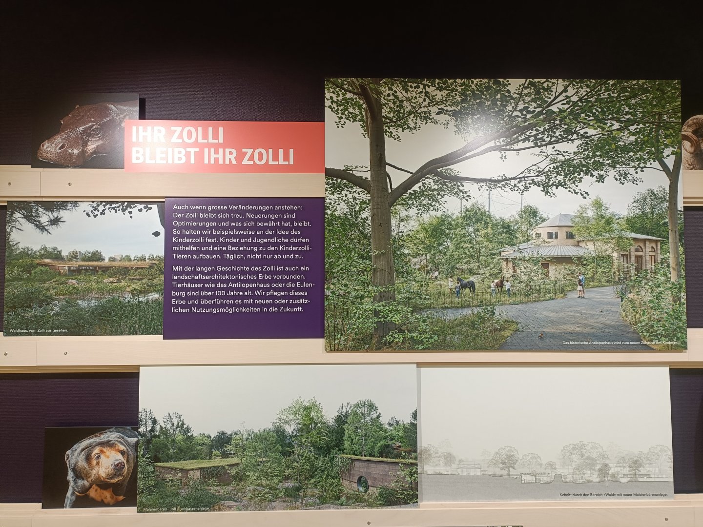 Masterplan - Wall of photos and informations