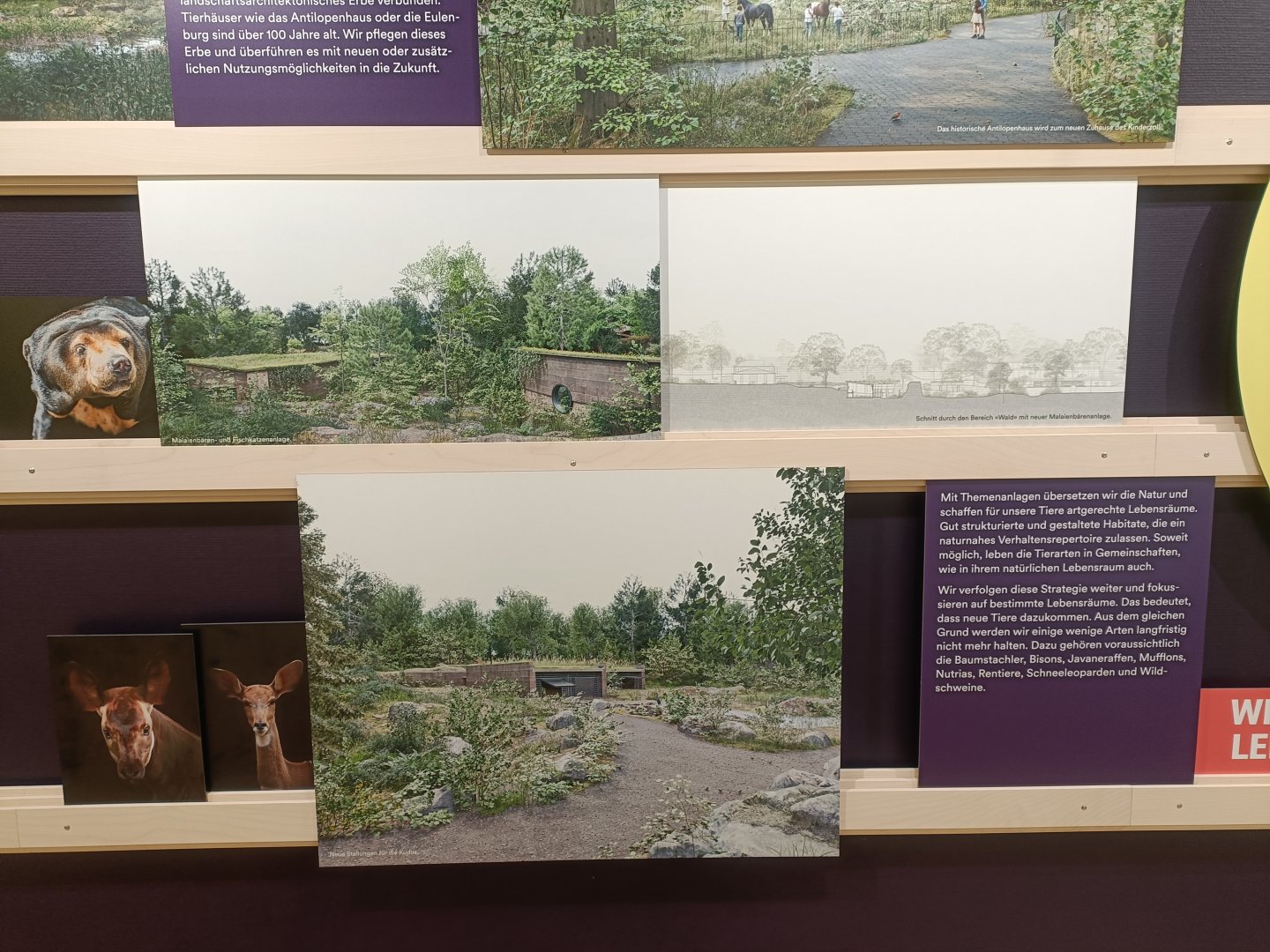 Masterplan - Wall of photos and informations