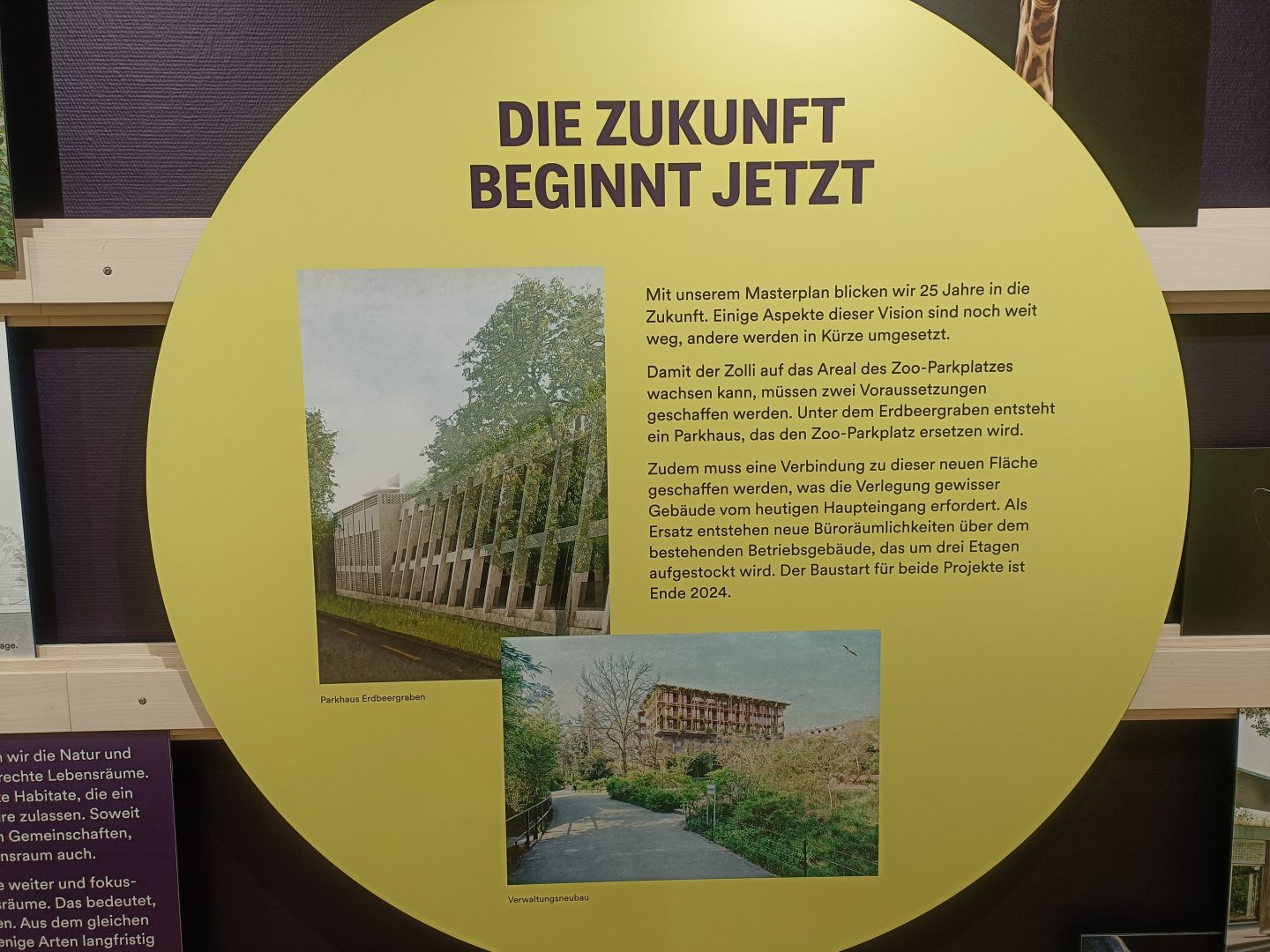 Masterplan - Wall of photos and informations