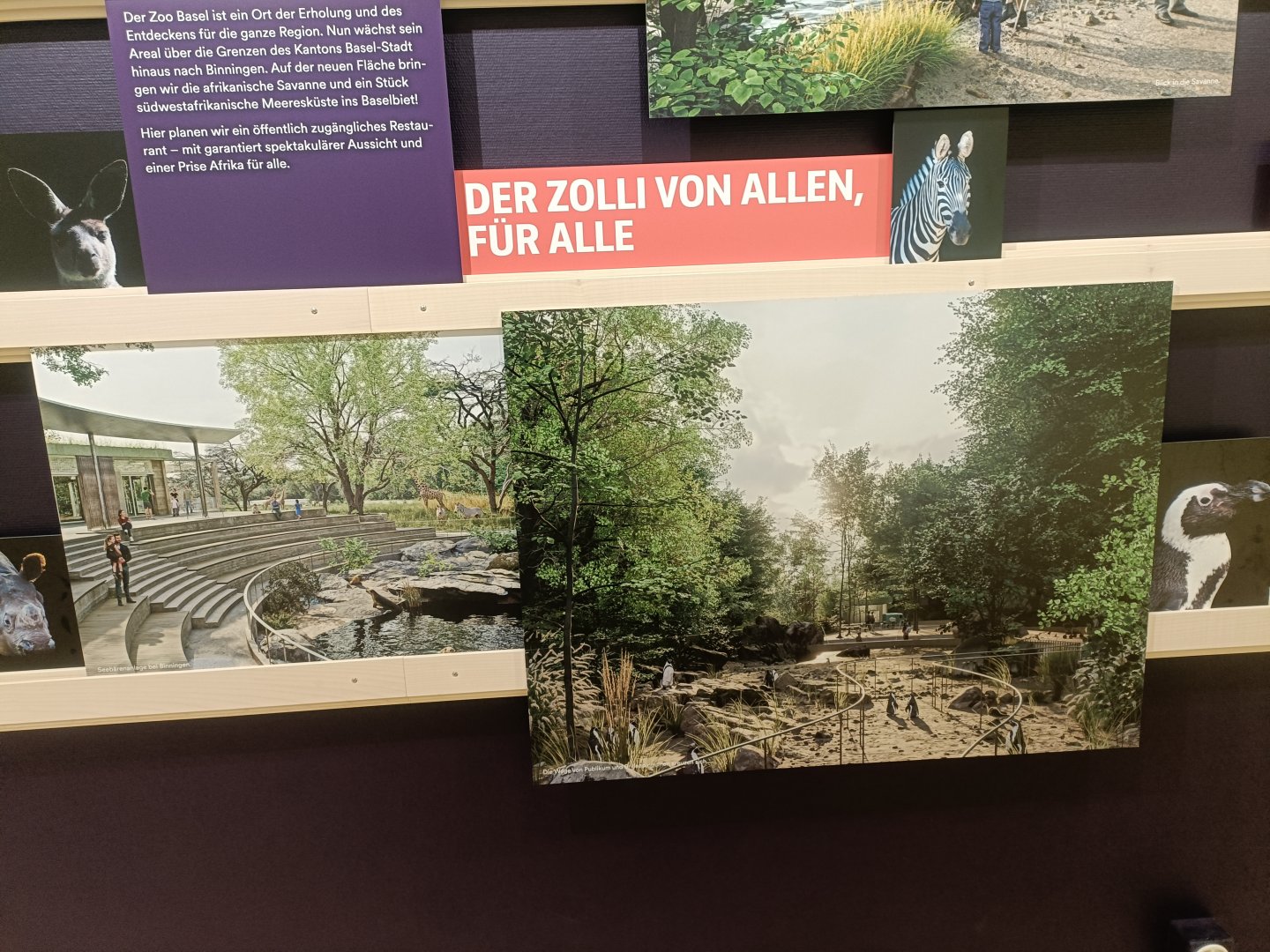 Masterplan - Wall of photos and informations