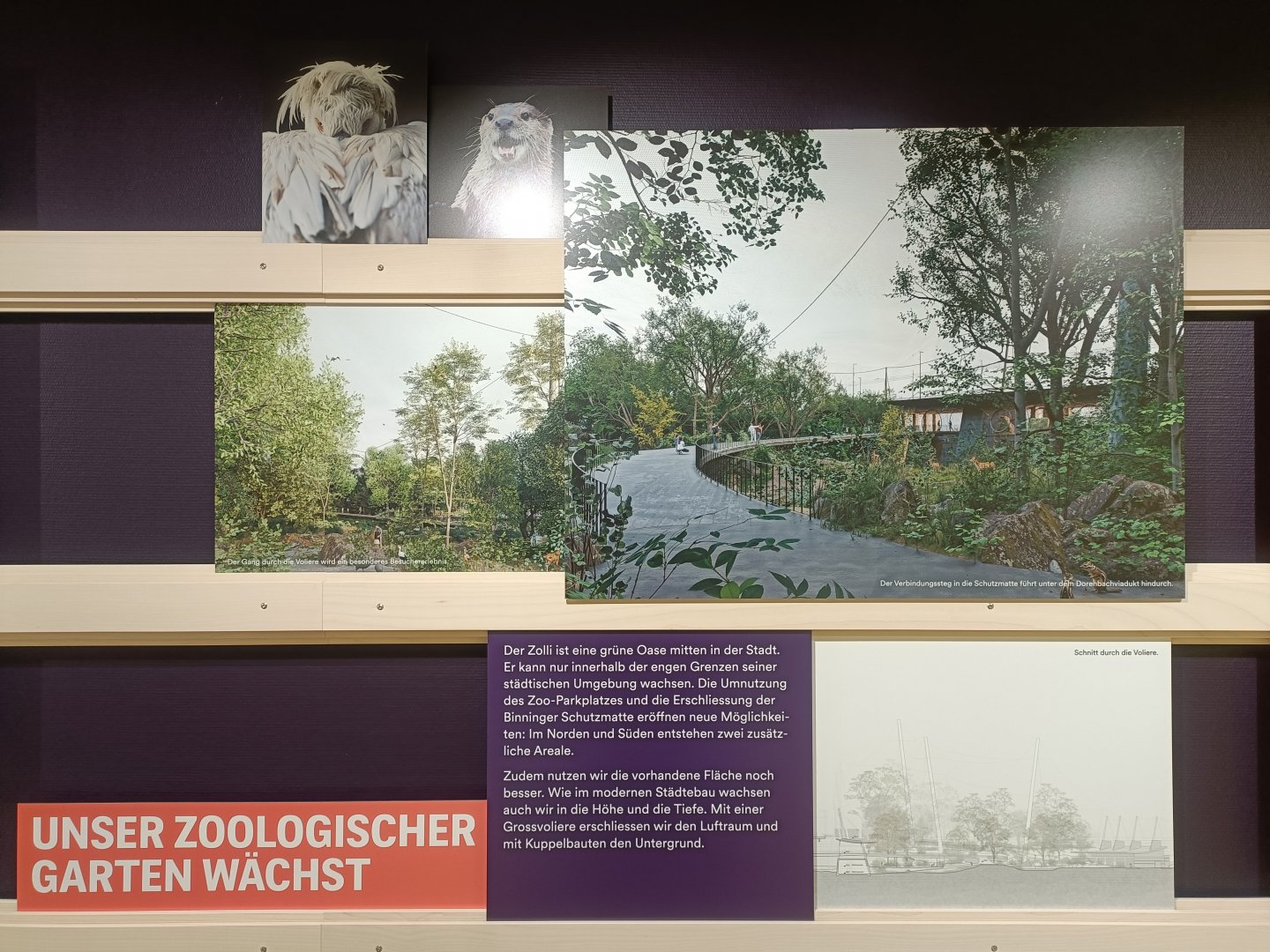 Masterplan - Wall of photos and informations