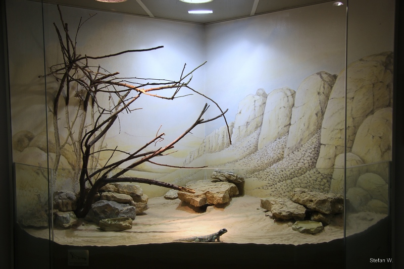 Mastiqure enclosure, Africa room