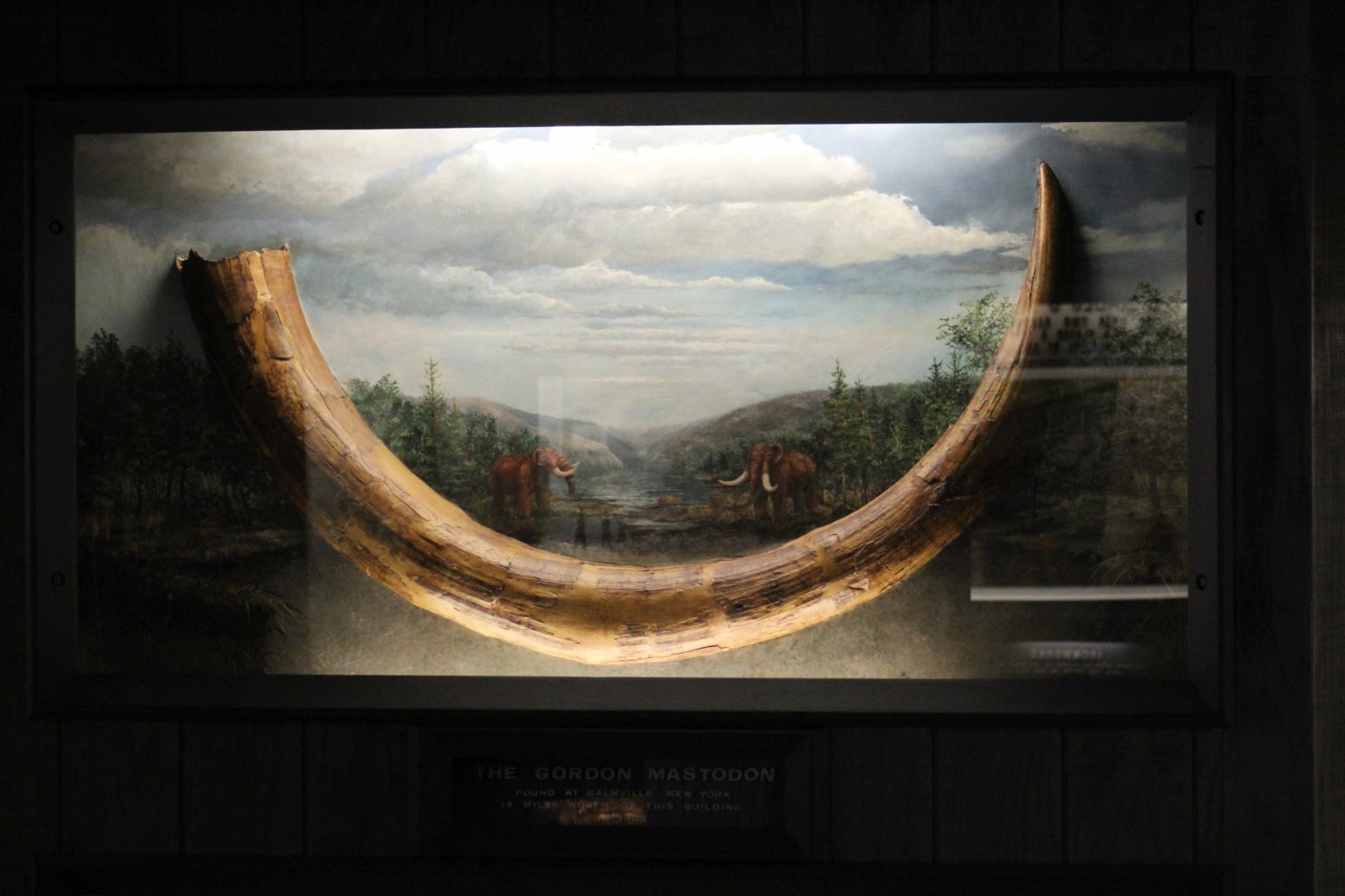 Mastodon Tusk