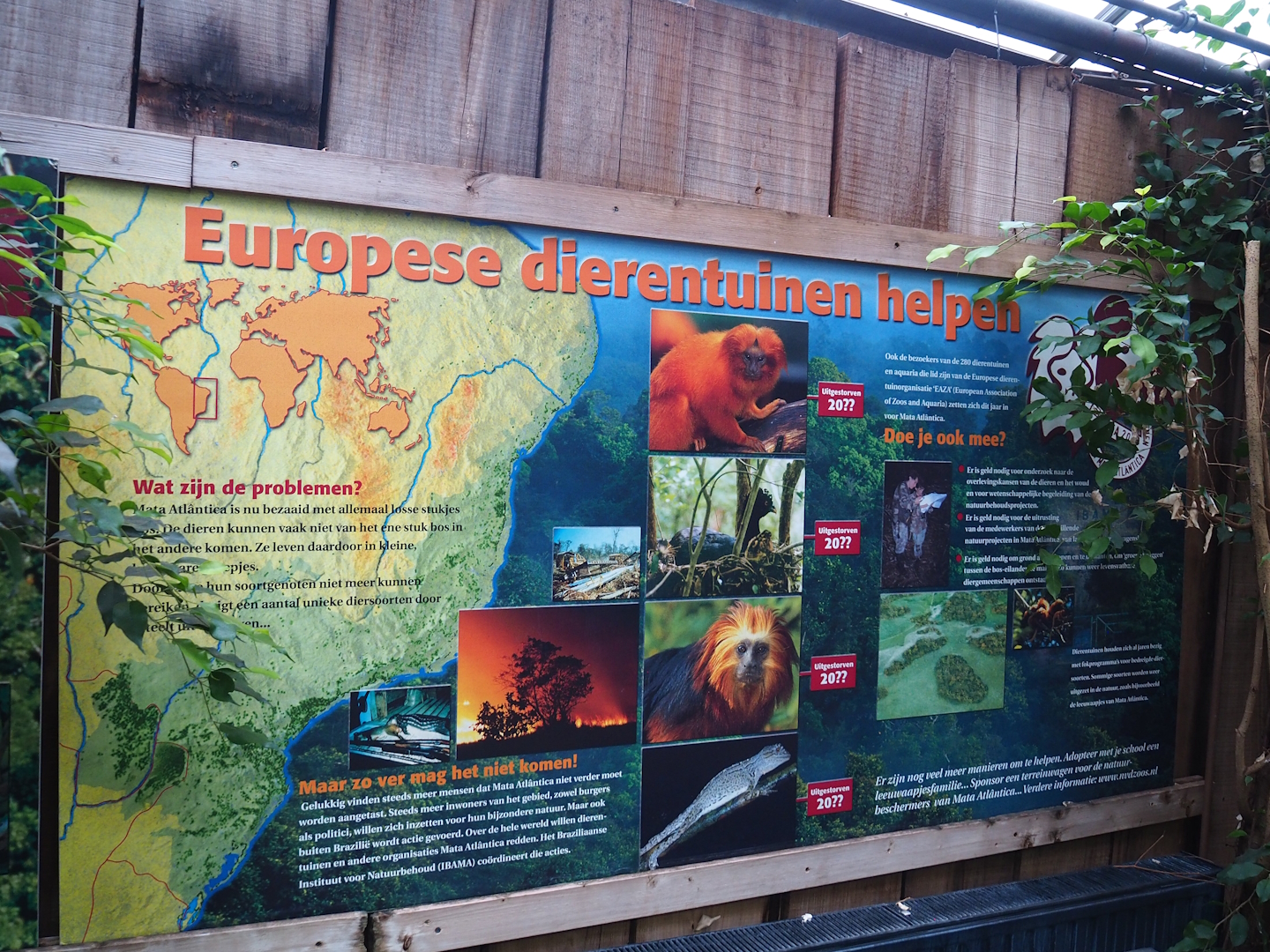 Mata Atlantica conservation projects signage, 2023-08-17