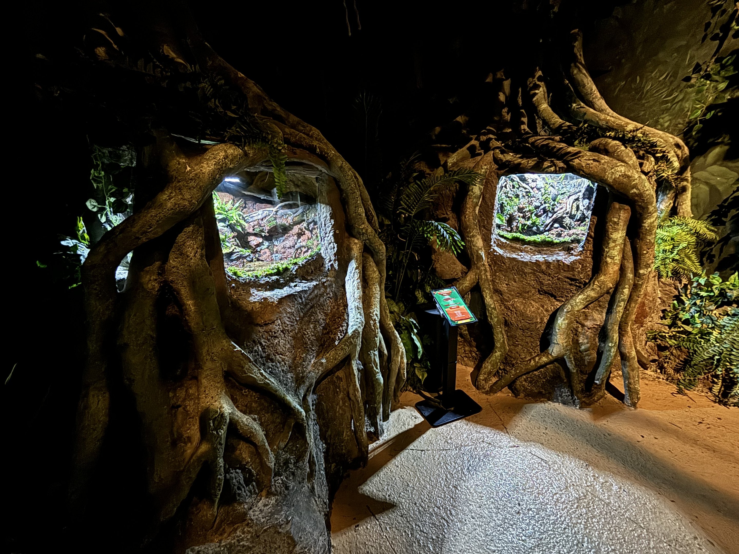 Mata Mata Exhibits - BXSea Aquarium