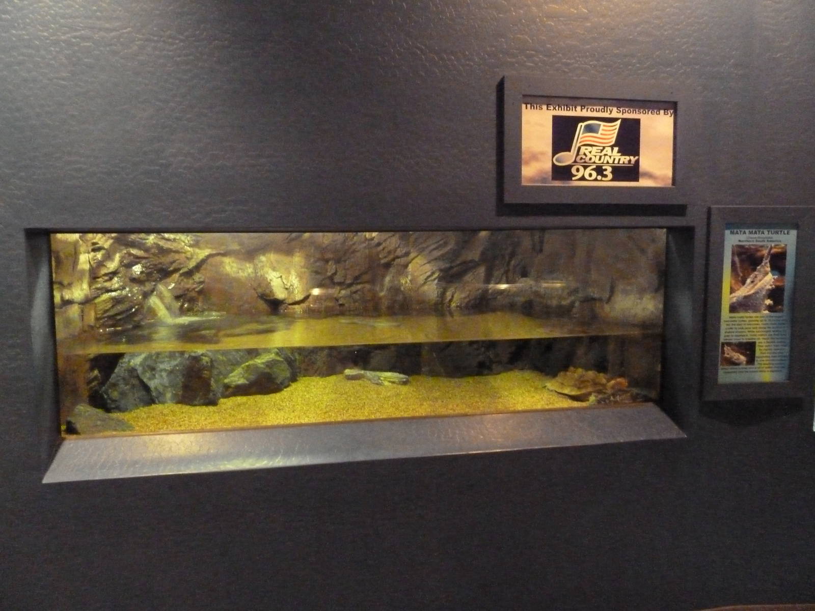 Mata Mata Turtle Exhibit