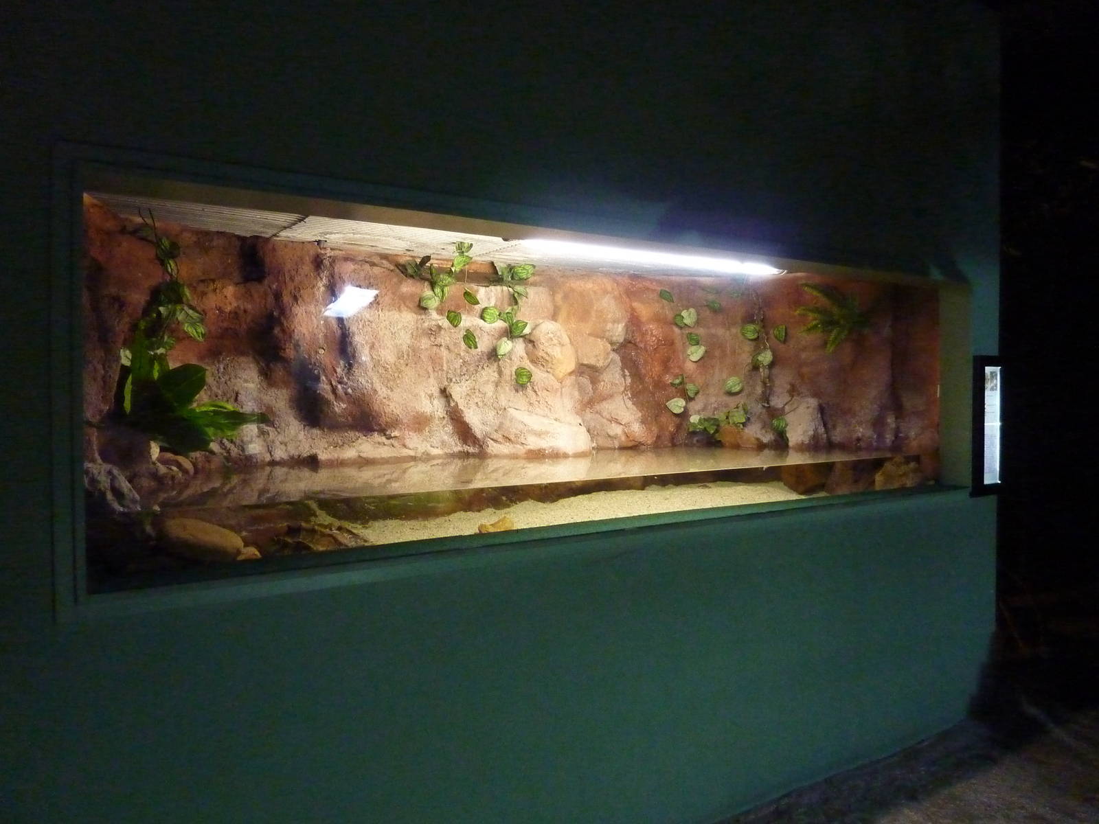 Matamata enclosure, 10th April 2012