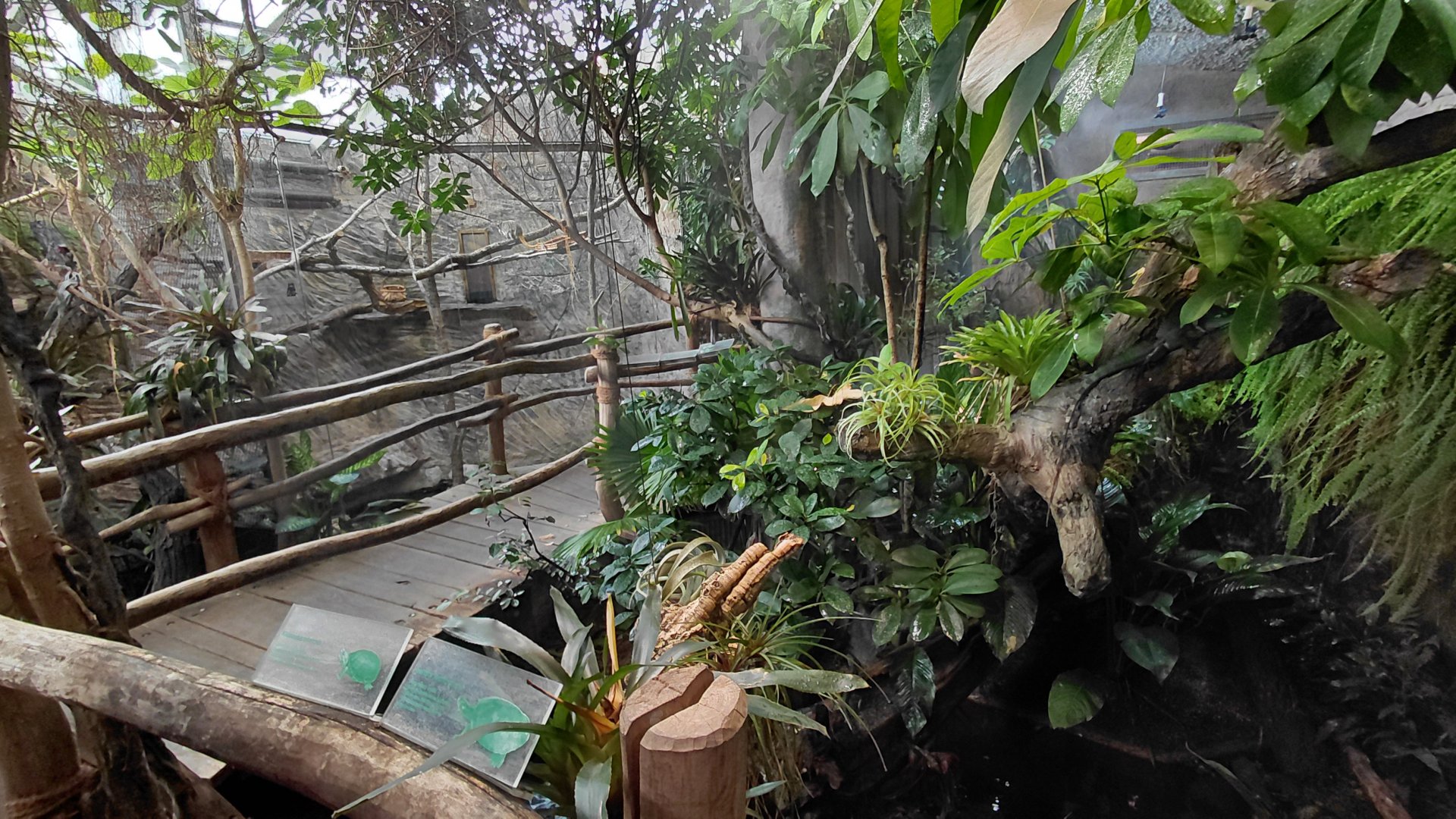 Matamata - turtle pond