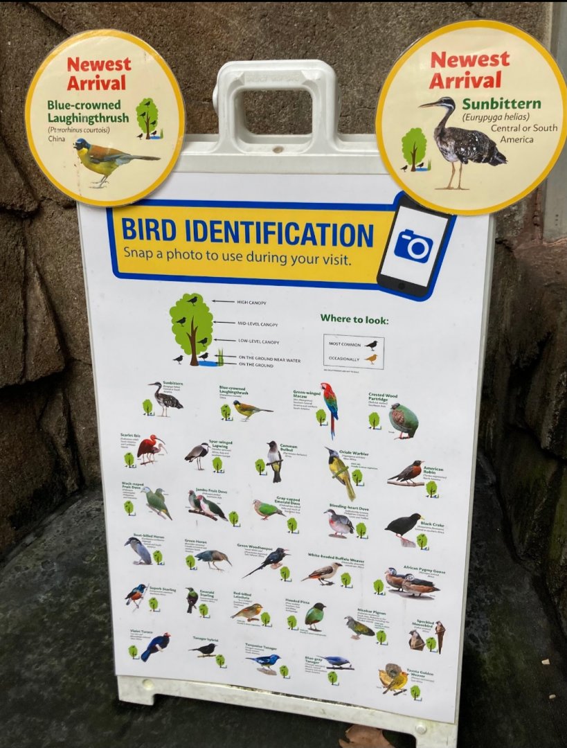 Matilda R. Wilson Free Flight Aviary Bird List 3/3/24