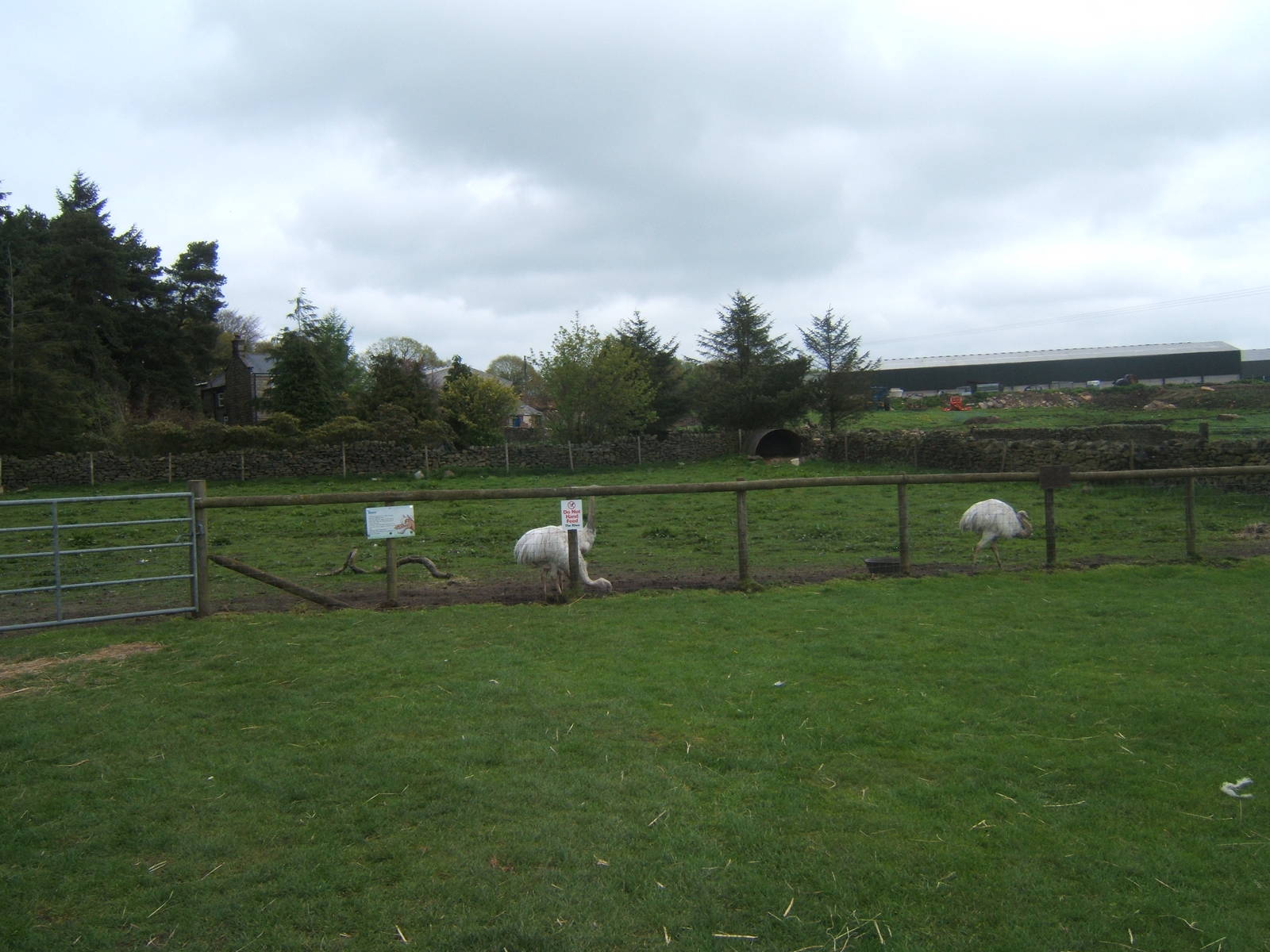 Matlock Farm Park