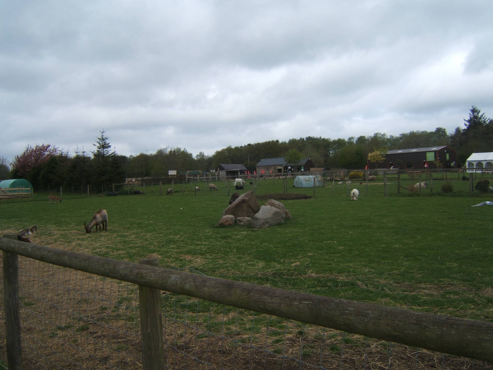 Matlock Farm Park