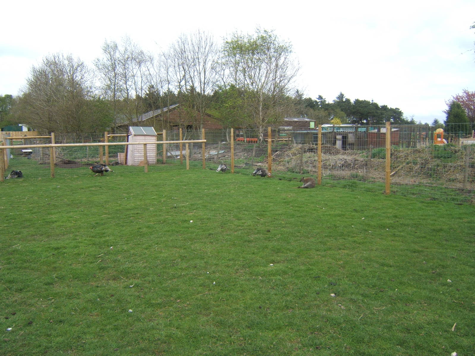Matlock Farm Park
