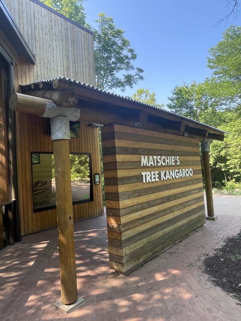 Matschie’s Tree Kangaroo Exhibit