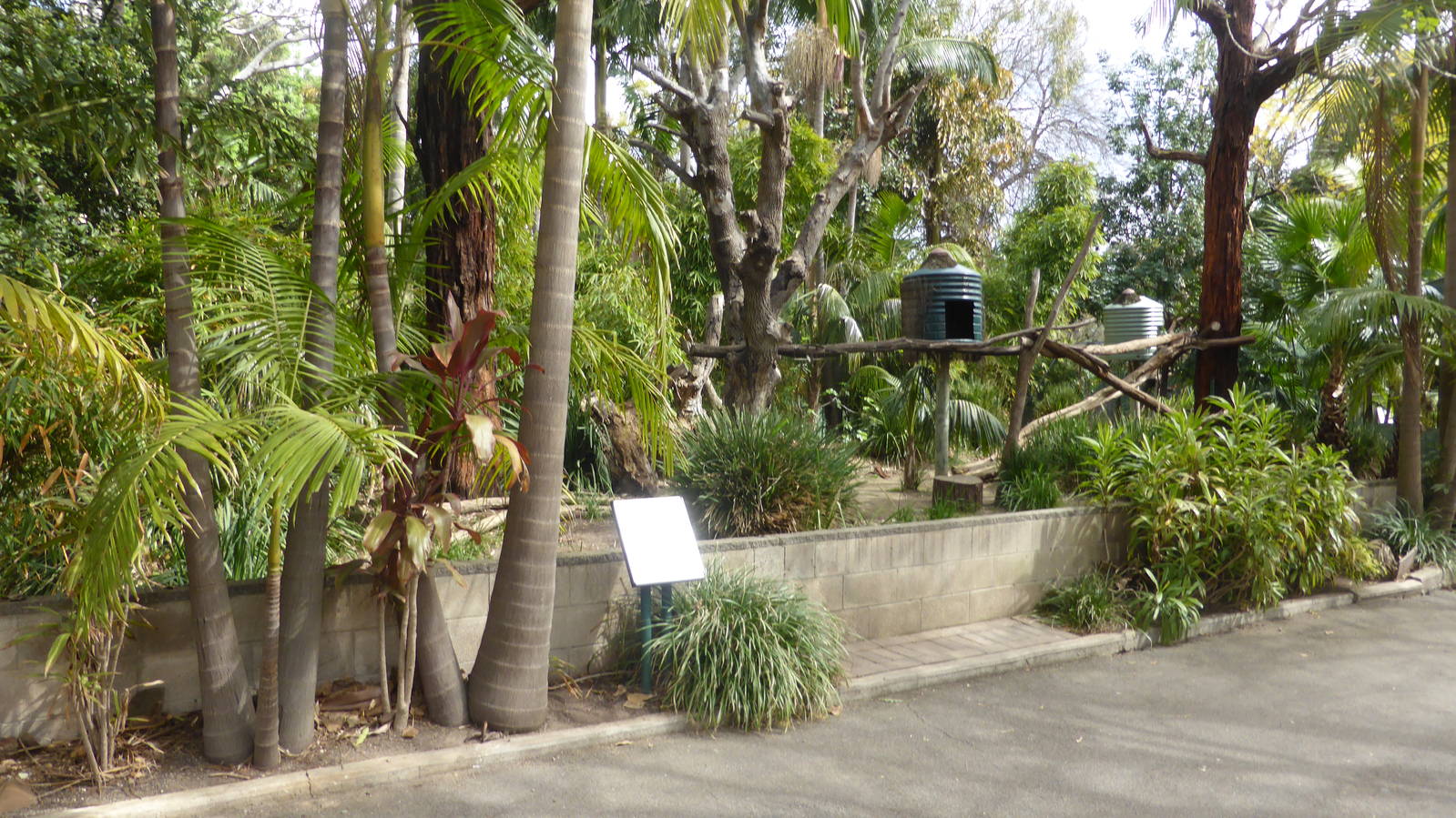 Matschie's Tree Kangaroo/Quokka exhibit