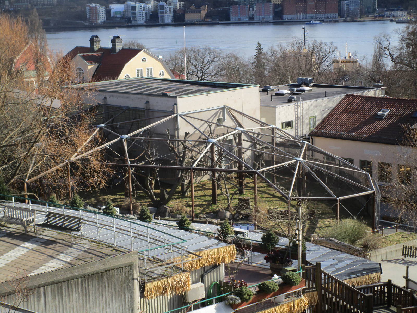 Mau Forest Guezera Enclosure - 24/03/15