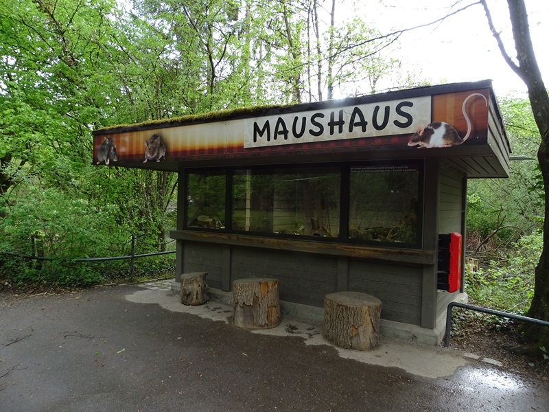 Maus Haus (Mouse House)