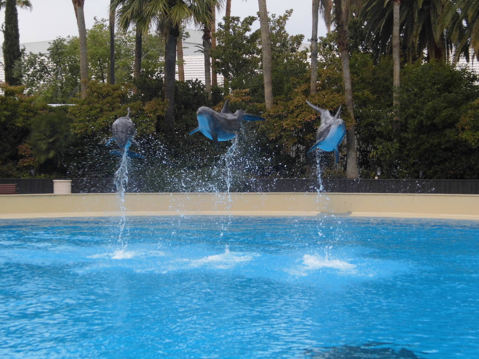 Maverick, Beetle and Osbourne Jump