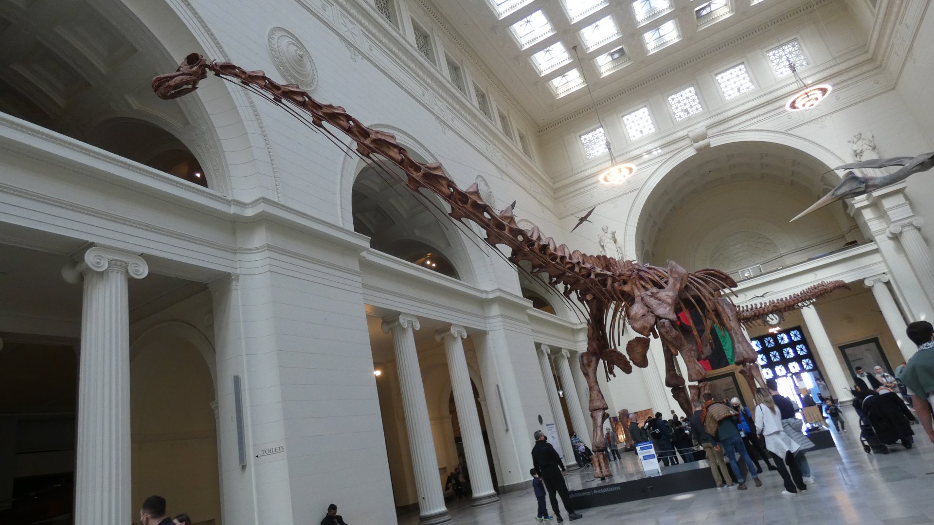 Máximo the Titanosaur, Main Hall - Feb. 2022