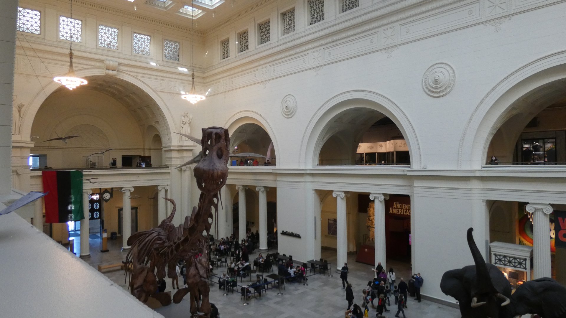 Máximo the Titanosaur, Main Hall - Feb. 2022