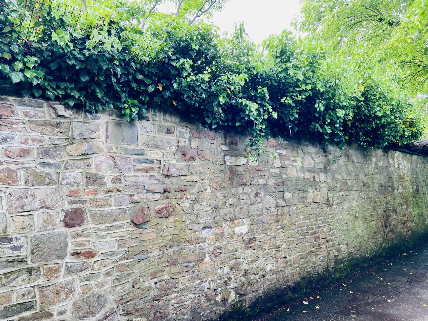 May 16th 2022 - Bristol Zoo perimeter wall