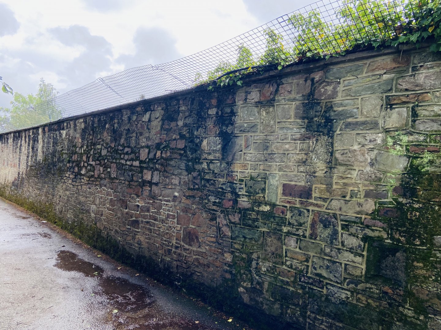 May 16th 2022 - Bristol Zoo perimeter wall