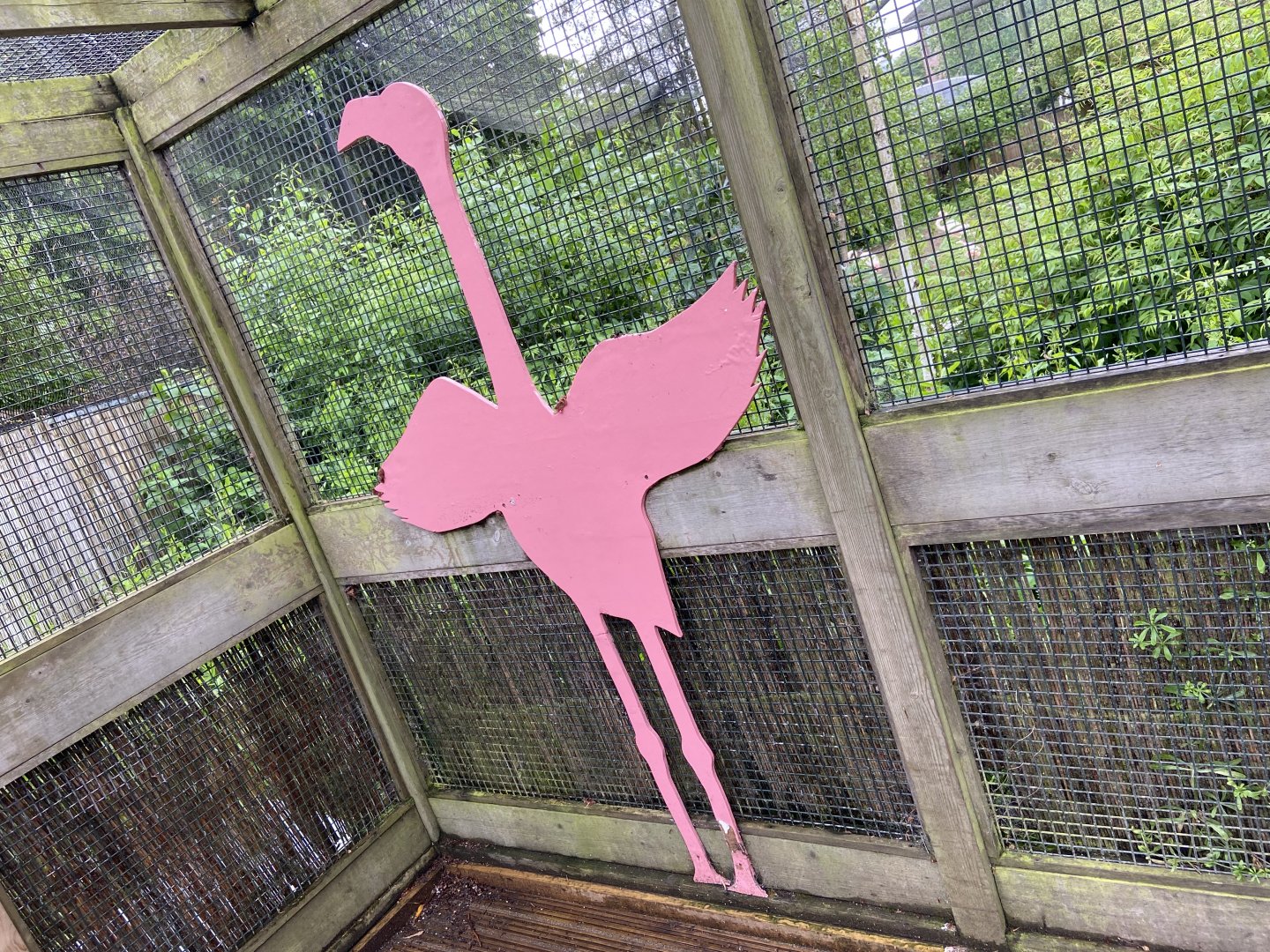 May 16th 2022 - decorative imagery within Greater Flamingo  walkthrough aviary at Bristol Zoo