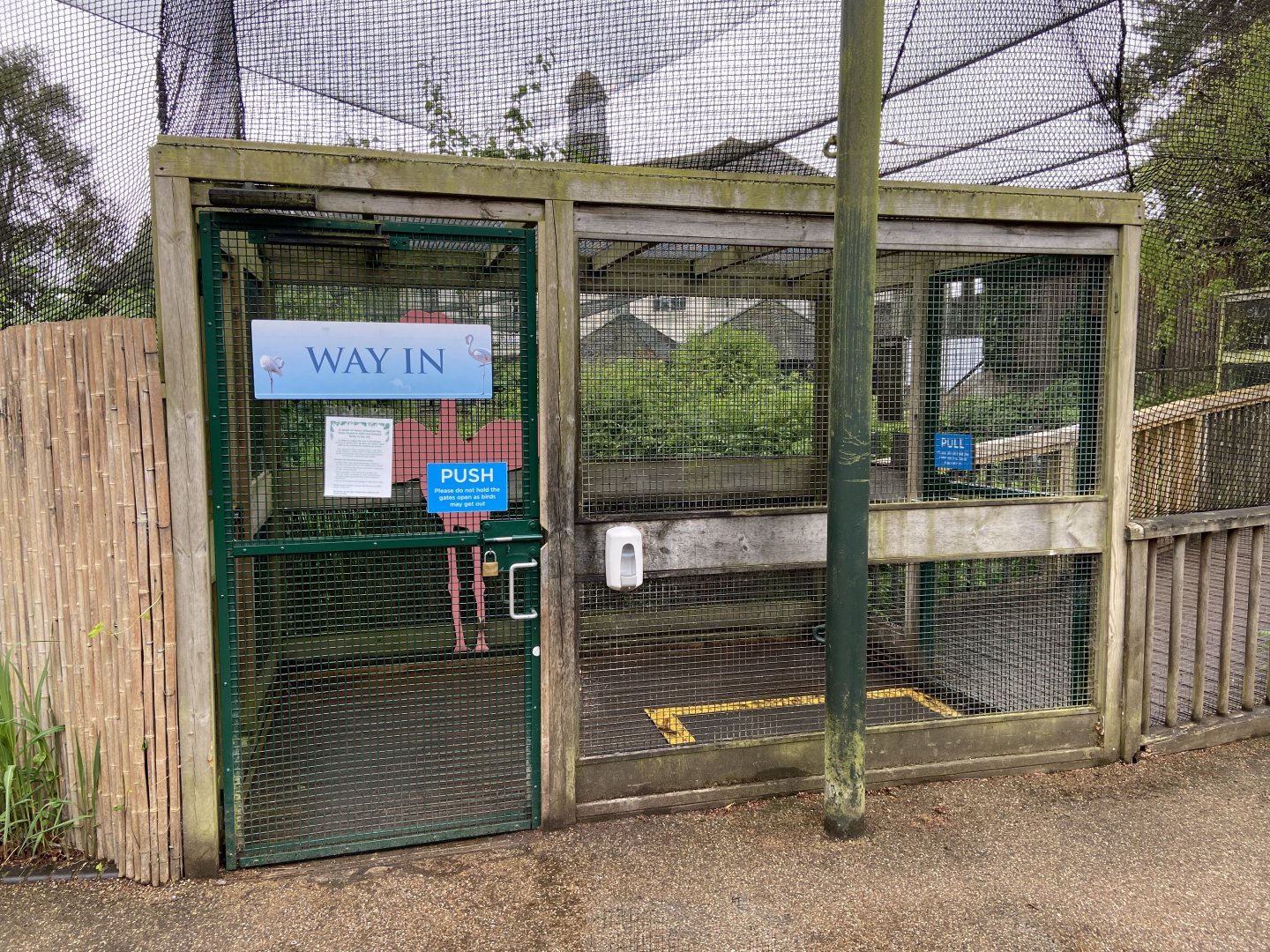 May 16th 2022 - entrance into walkthrough aviary for Greater Flamingo at Bristol Zoo