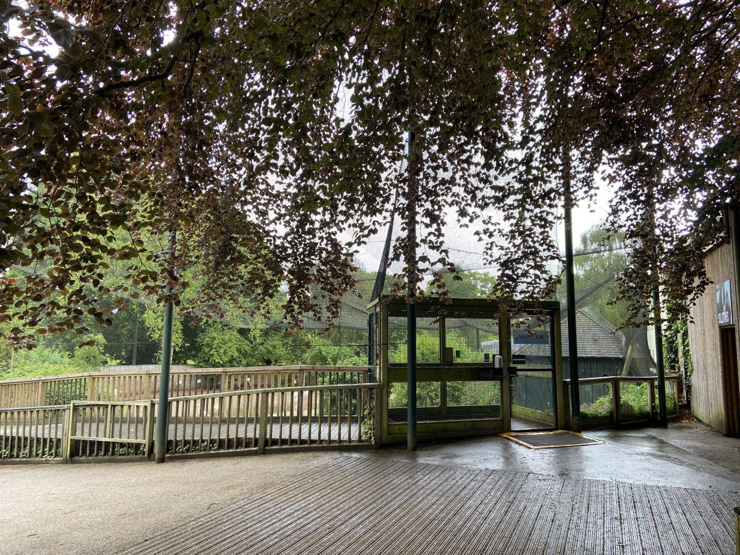May 16th 2022 - Greater Flamingo aviary at Bristol Zoo