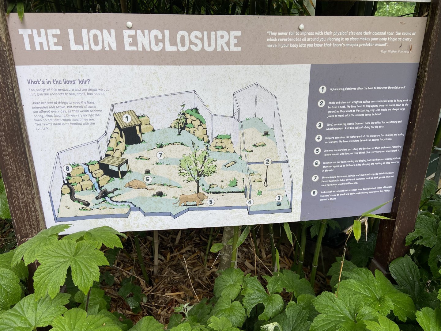 May 16th 2022 - informational display showing plan of Asiatic Lion exhibit at Bristol Zoo