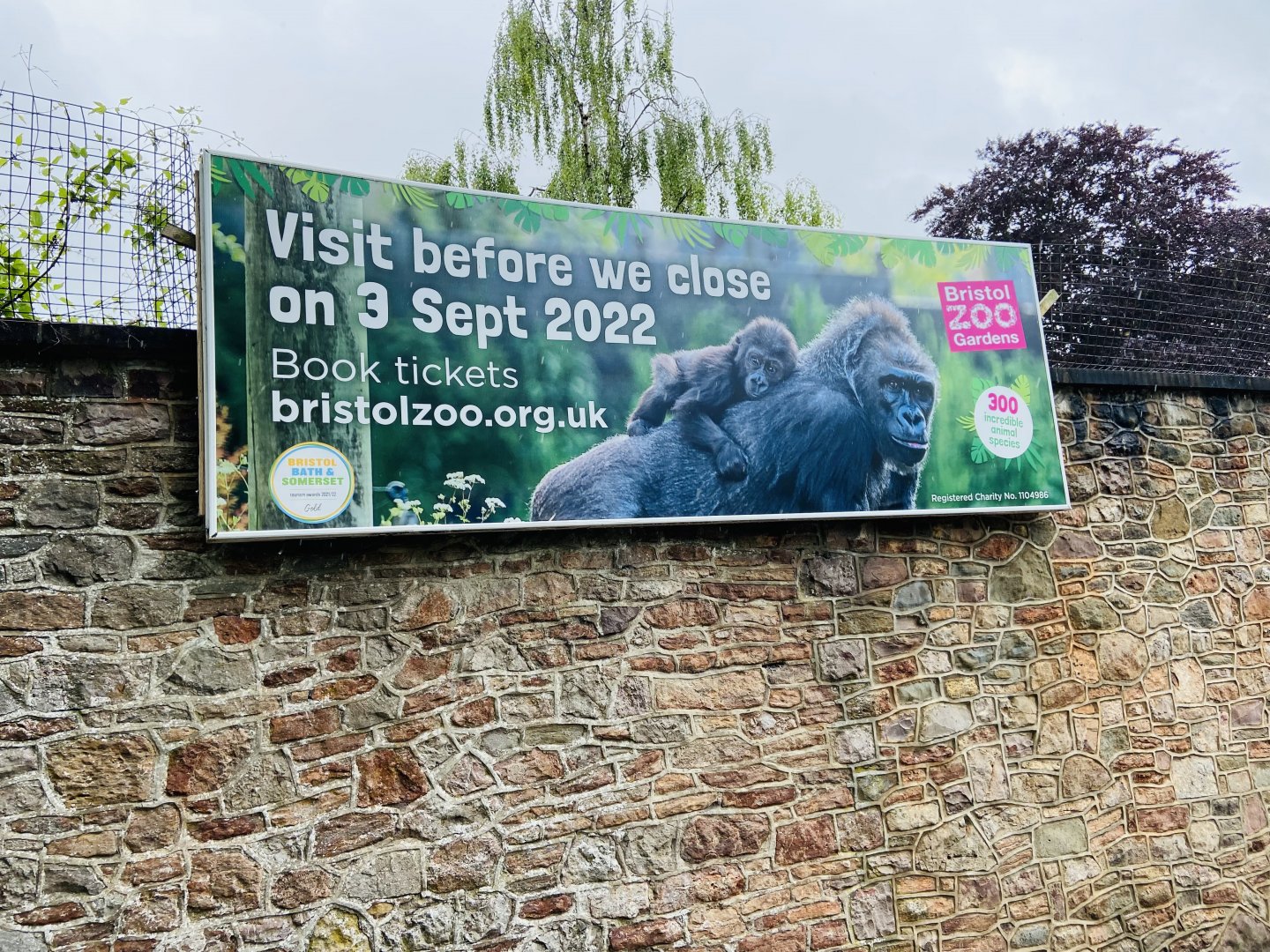 May 16th 2022 - promotional material for Bristol Zoo on perimeter wall