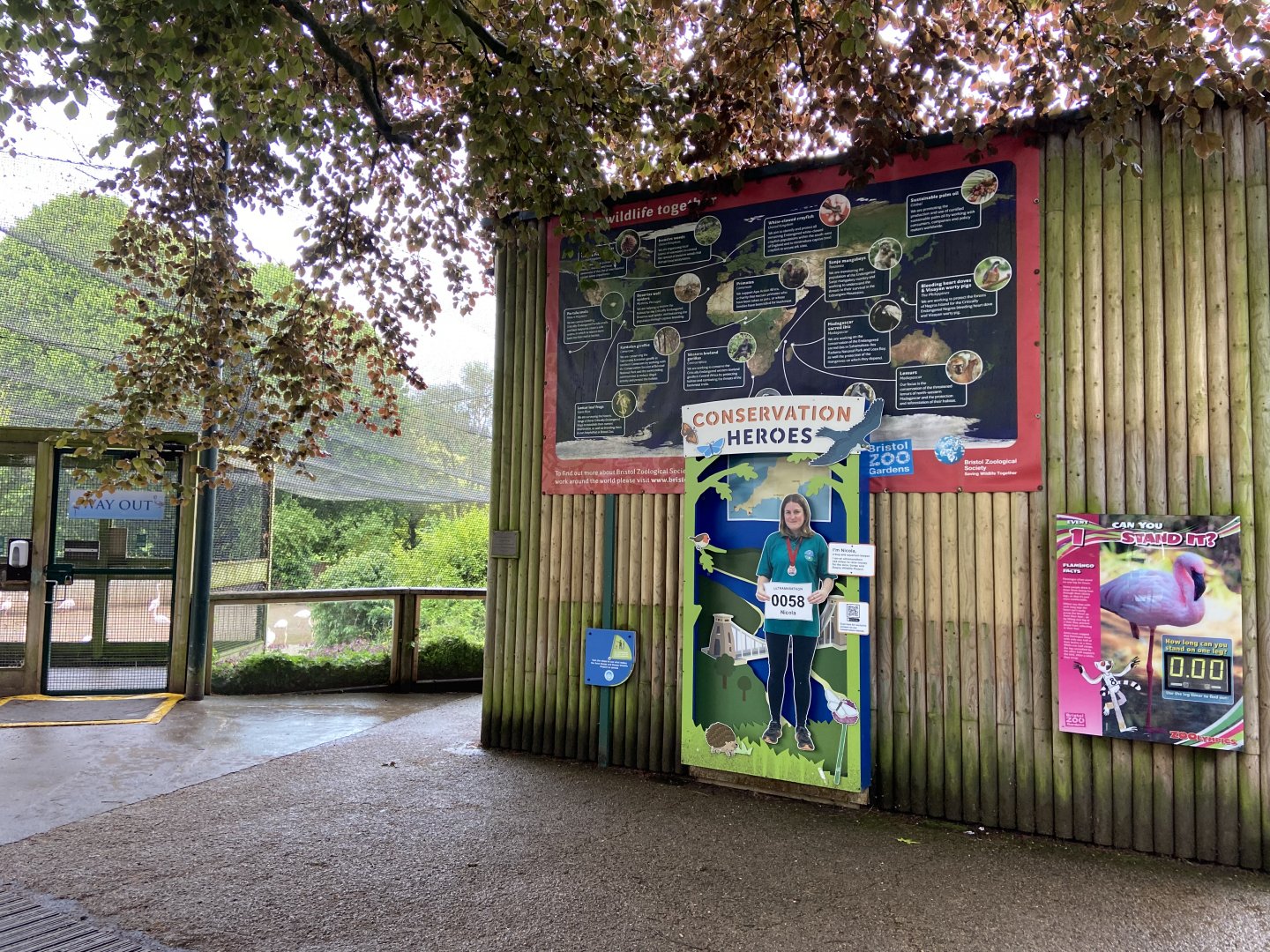 May 16th 2022 - Sloth House and educational material at Bristol Zoo
