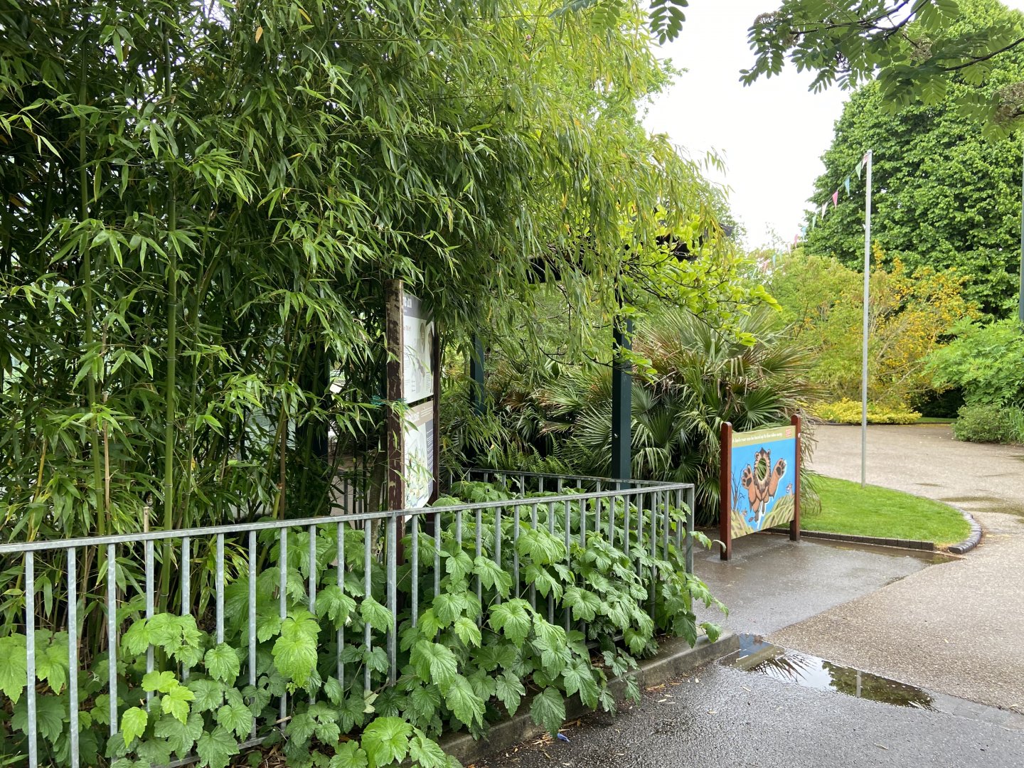 May 16th 2022 - vegetation in front of Asiatic Lion exhibit at Bristol Zoo