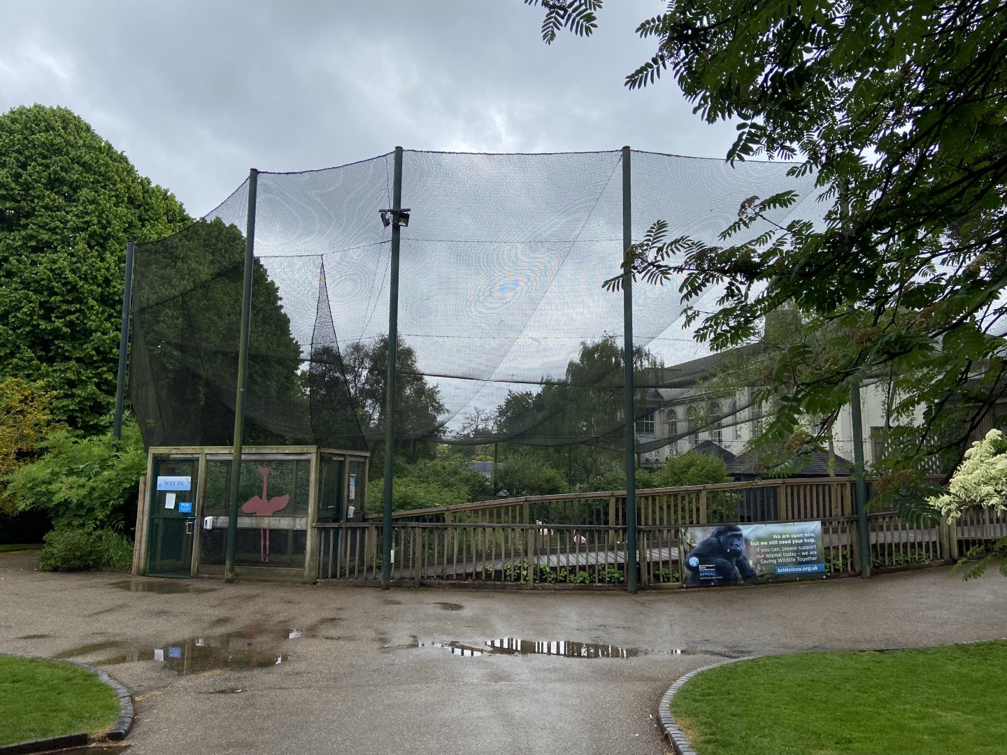 May 16th 2022 - walkthrough aviary for Greater Flamingo at Bristol Zoo