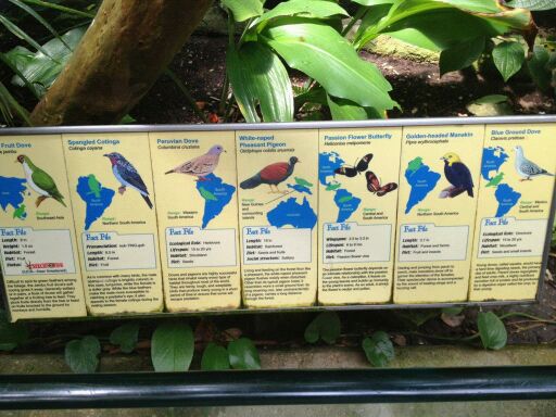 May 2012-Bird/Butterfly Signs in the Butterfly Rainforest