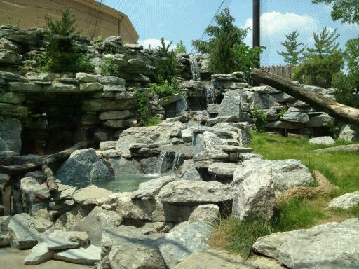 May 2012-Left side of the Cougar exhibit