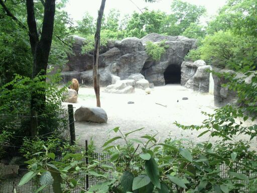 May 2012-Sichuan takin exhibit